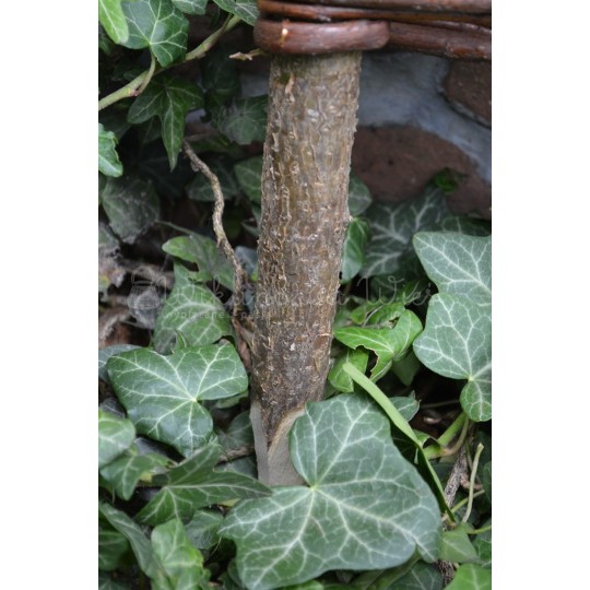 Fonott paliszádok 40/120 méretben