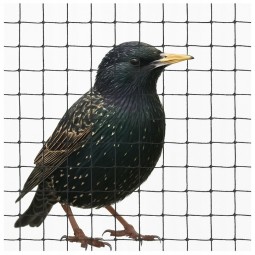 Univerzális háló növények és háztartás védelmére – 20x20 m