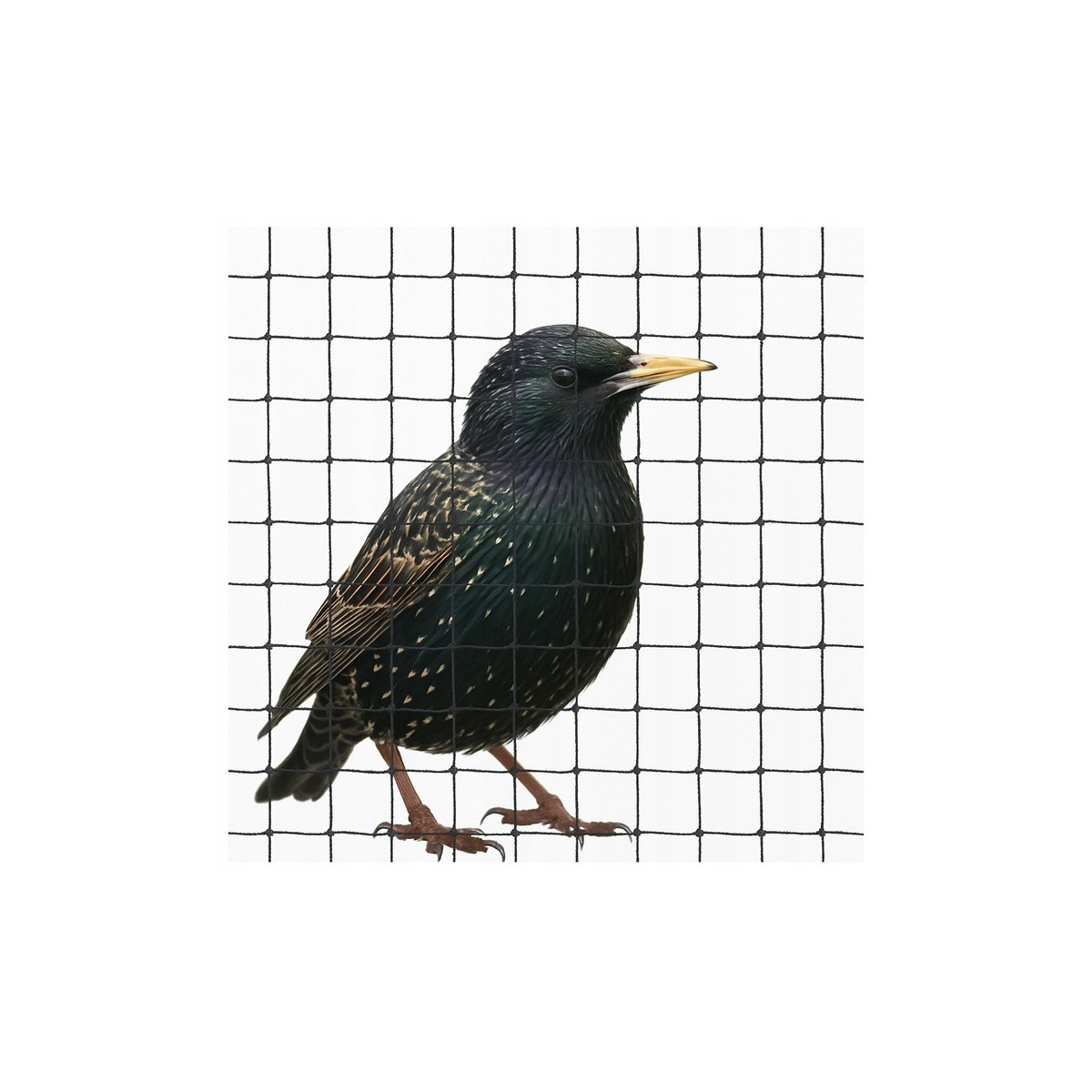 Univerzális háló növények és háztartás védelmére – 20x20 m