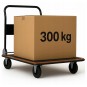 Raktári platós szállítókocsi STRONG 300 kg