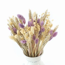 Szárított csokor Natural&Violet – pasztell phalaris, búza és len