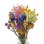Nagy csokor szárított virágok Spring – lime, phalaris, cickafark