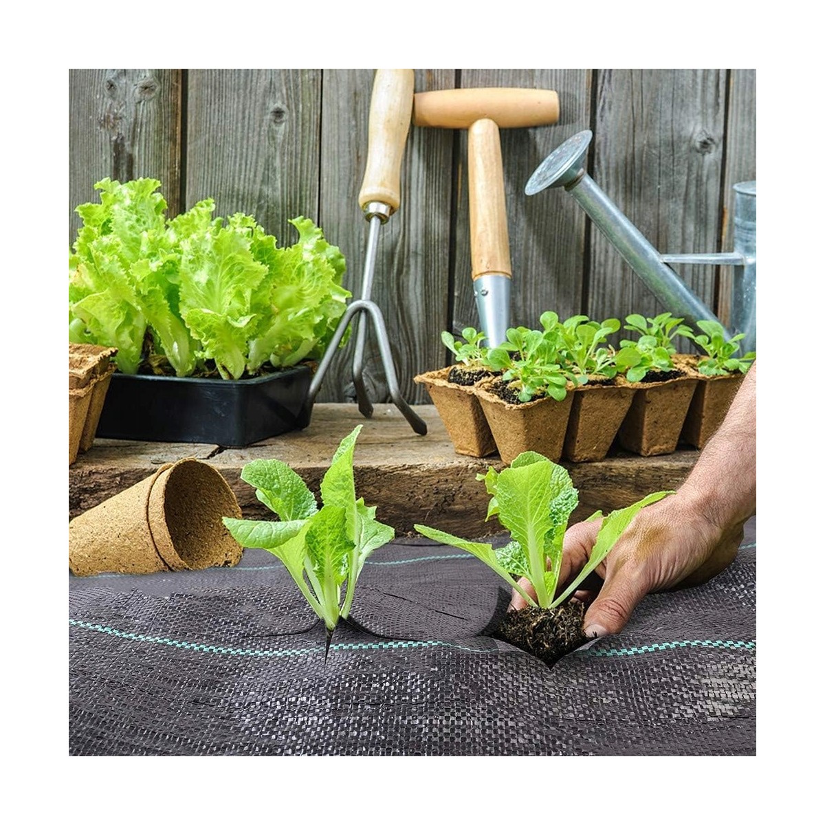 Agrotextília fekete színben 70g/m 1,6x50m