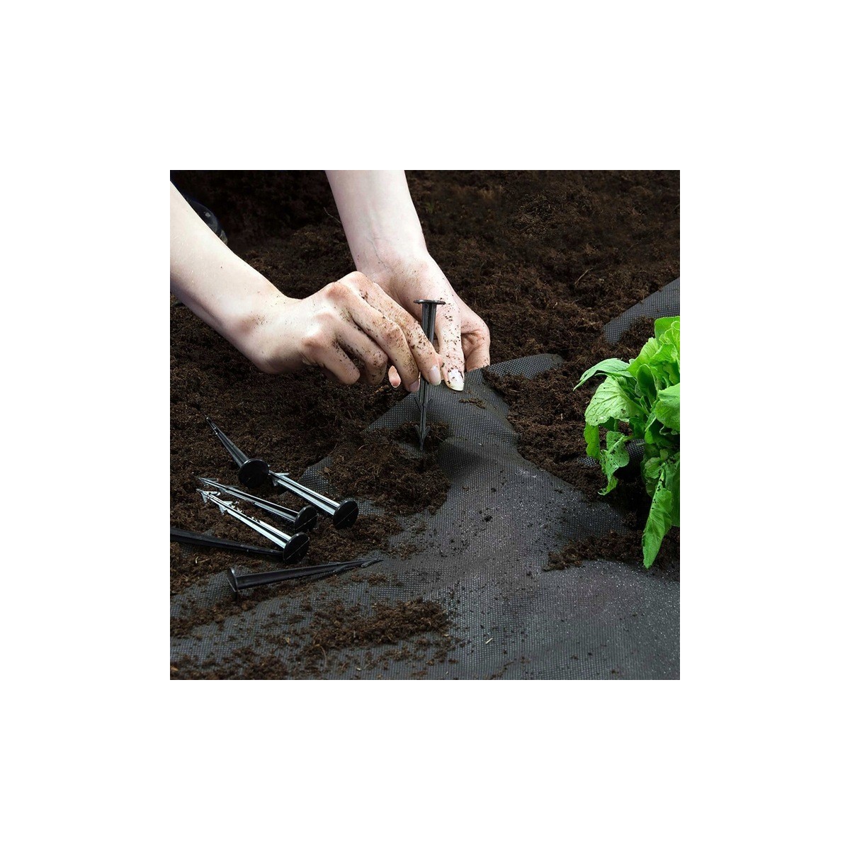Hasznos fekete színű agrotextília 70 g/m² 4x50 m