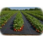 Erős agrotextília fekete színben 135 g/m2, 0,4x100