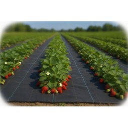 Masszív agrotextília fekete színben 135 g/m2, 0,6x50
