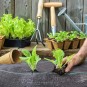 Tartós agrotextília fekete színben 110 g/m2, 0,6x100