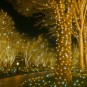 Gyönyörű karácsonyi kültéri világítás meleg fehér fényben, 500 LED