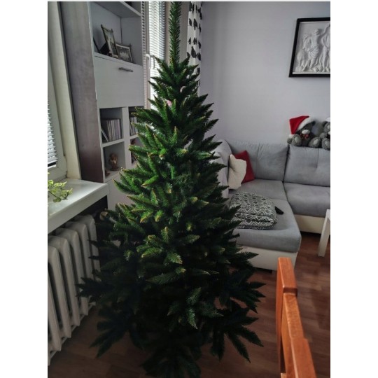 Gyönyörű karácsonyfa kaukázusi lucfenyő 150 cm PRÉMIUM