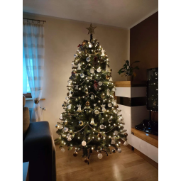 Gyönyörű karácsonyfa kaukázusi lucfenyő 150 cm PRÉMIUM