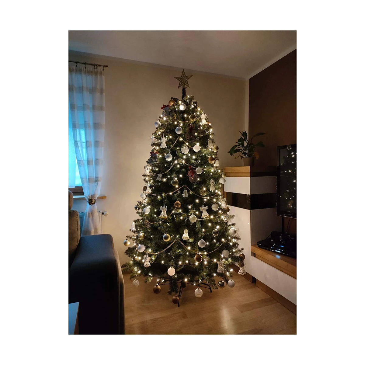 Gyönyörű karácsonyfa kaukázusi lucfenyő 150 cm PRÉMIUM
