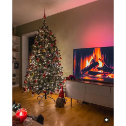 Gyönyörű karácsonyfa kaukázusi lucfenyő 150 cm PRÉMIUM