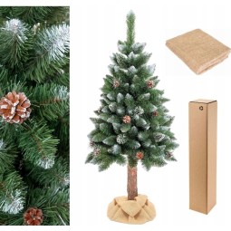 Gyémánt fenyő tönkön, tobozokkal, 160 cm, PRÉMIUM