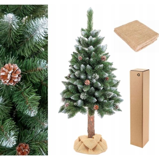 Gyémánt fenyő tönkön, tobozokkal, 160 cm, PRÉMIUM