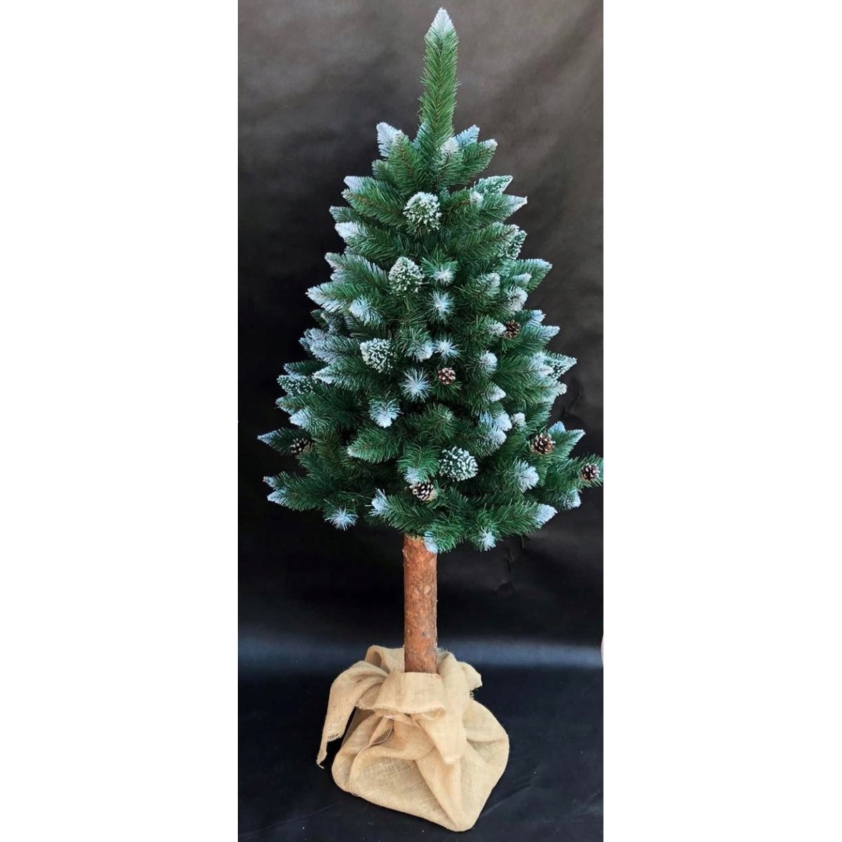 Gyémánt fenyő tönkön, tobozokkal, 160 cm, PRÉMIUM