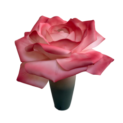 LED virágdekoráció Rózsa cserépben 65 × 50 cm