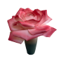 LED virágdekoráció Rózsa cserépben 65 × 50 cm