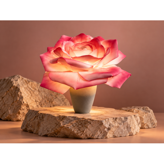 LED virágdekoráció Rózsa cserépben 65 × 50 cm