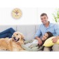 Kiváló minőségű gyermek falióra golden retrieverrel
