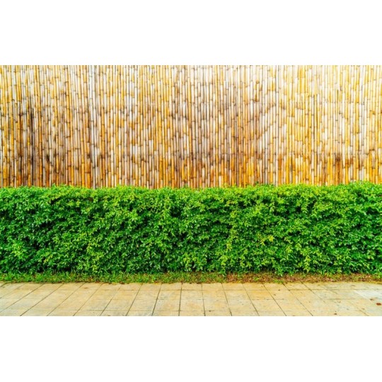 Kiváló minőségű bambuszkerítés mérete: 150 cm x 300 cm x 12 mm