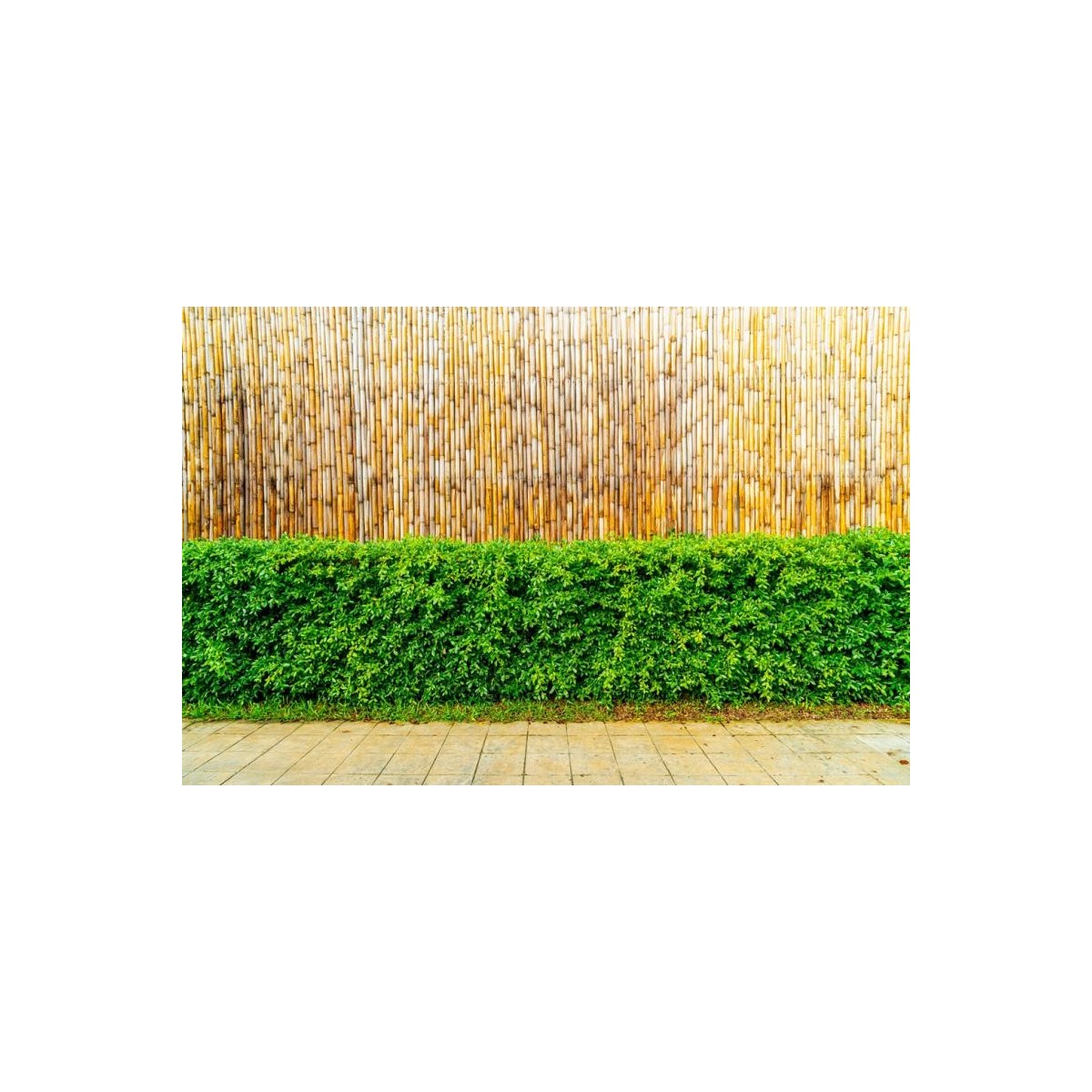 Kiváló minőségű bambuszkerítés mérete: 150 cm x 300 cm x 12 mm